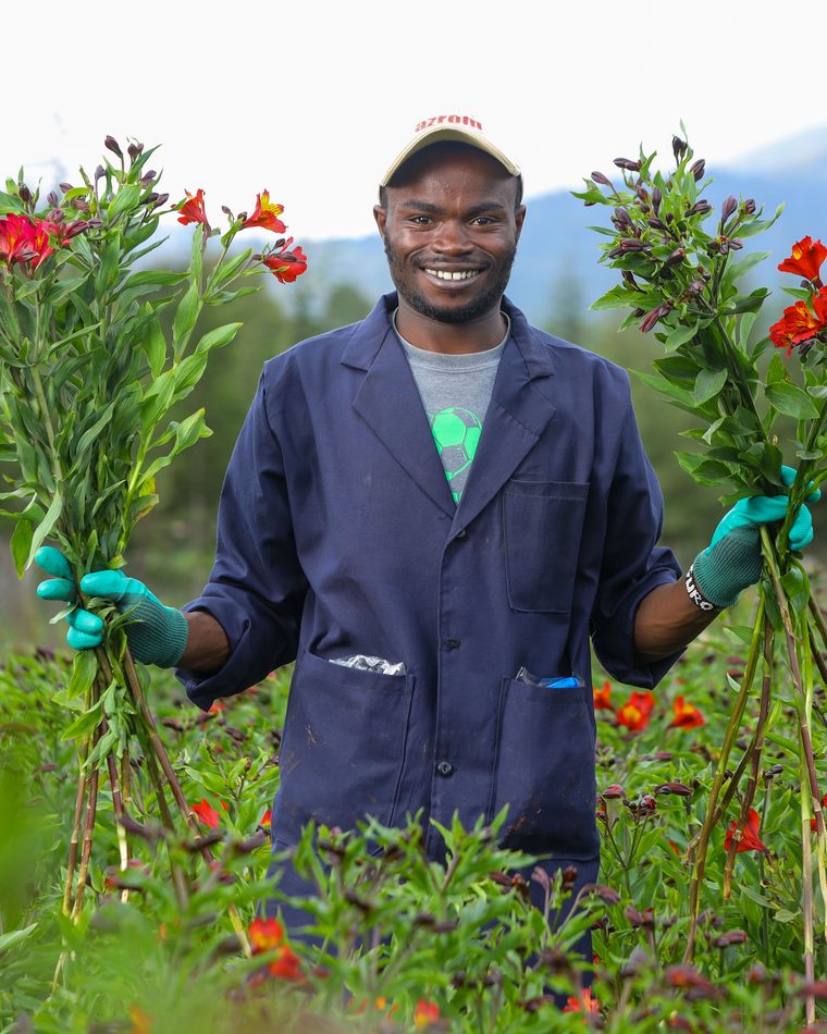 Hands tending blooms in the greenhouse