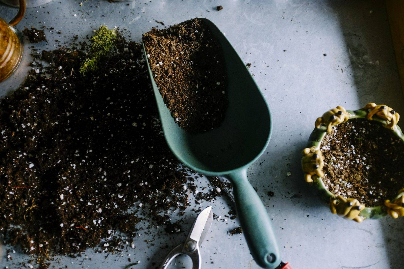 Tending the soil — seasonal care at Chalvin Farm Fresh